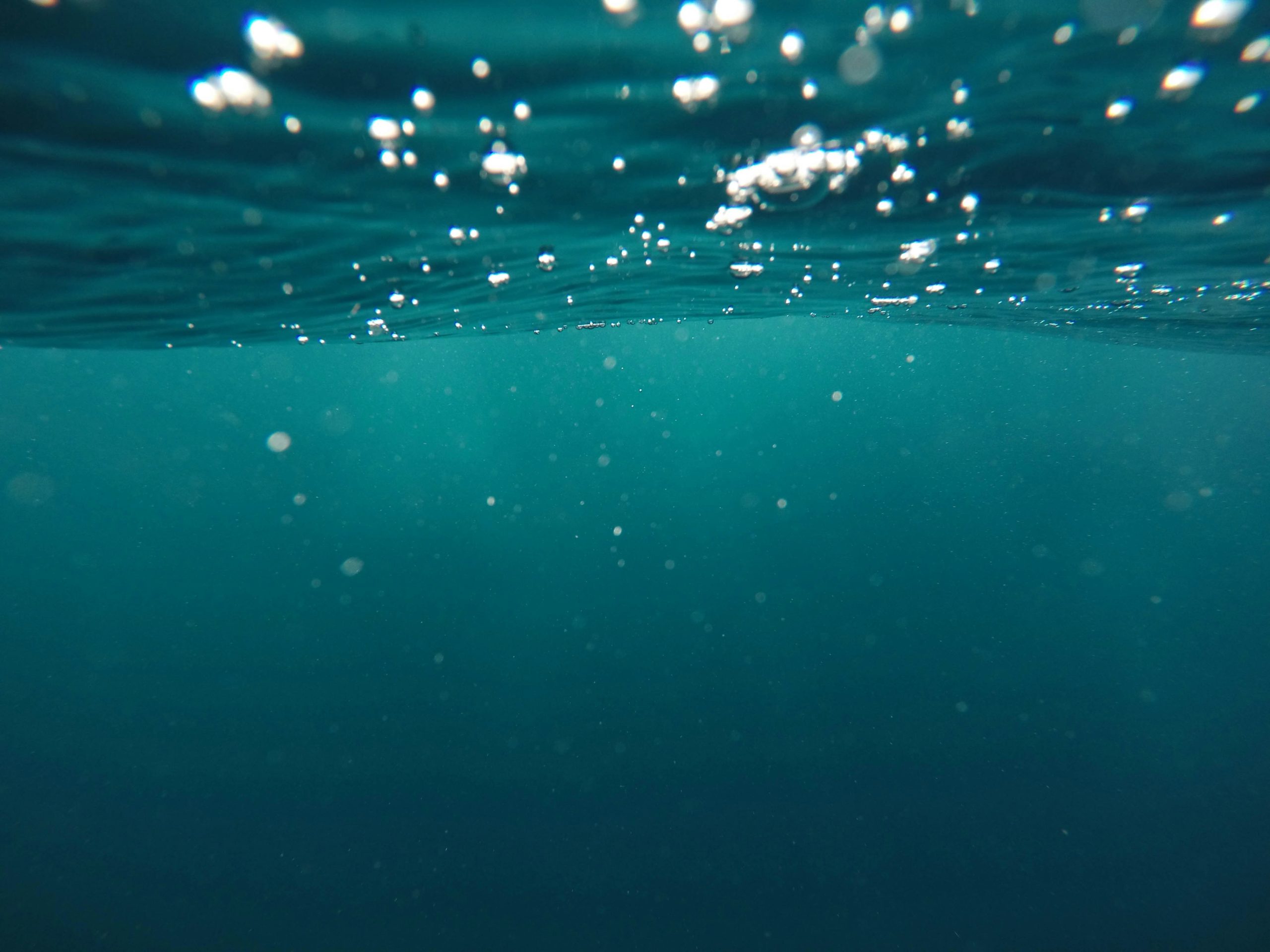 What actually comes off a hull when it's cleaned?